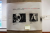 33_Thorak-Rollen_Fries